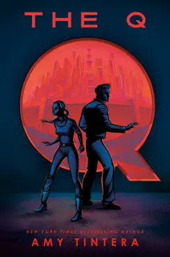 the q book cover image