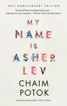 My Name Is Asher Lev synopsis, comments
