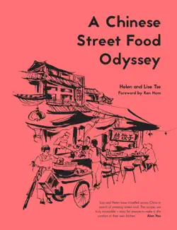 a chinese street food odyssey book cover image