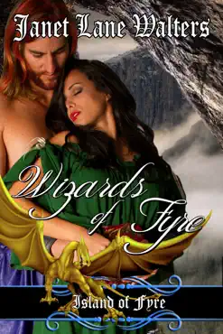 wizards of fyre book cover image