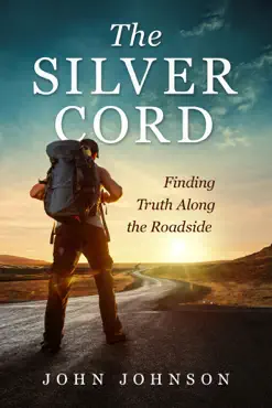 the silver cord book cover image