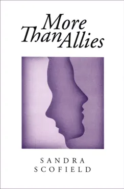 more than allies book cover image