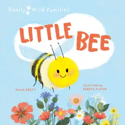little bee book cover image