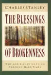 The Blessings of Brokenness synopsis, comments