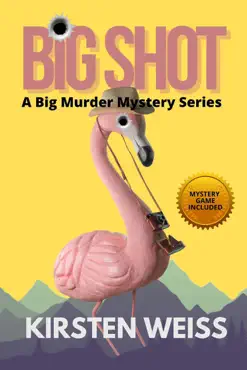 big shot book cover image