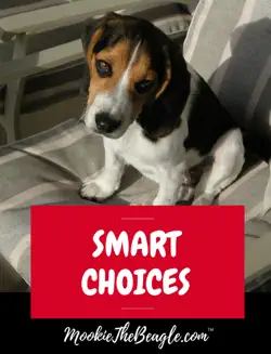 mookiethebeagle.com smart choices book cover image