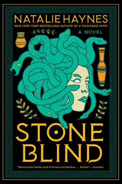 stone blind book cover image