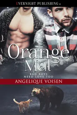 orange and mal book cover image