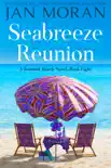 Seabreeze Reunion synopsis, comments