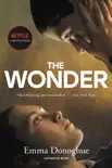 The Wonder synopsis, comments