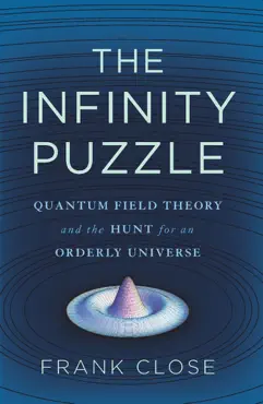 the infinity puzzle book cover image