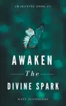Awaken The Divine Spark synopsis, comments
