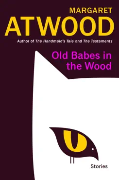 old babes in the wood book cover image