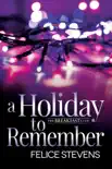 A Holiday to Remember synopsis, comments