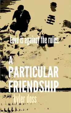 a particular friendship book cover image