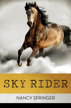 sky rider book cover image