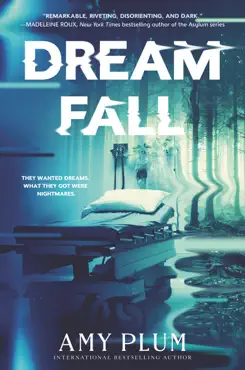 dreamfall book cover image