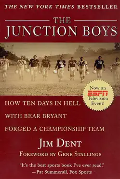 the junction boys book cover image