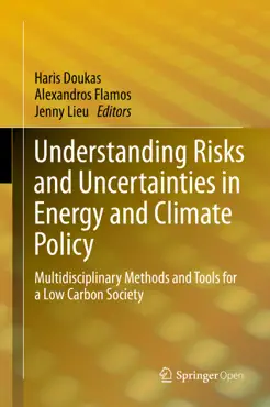 understanding risks and uncertainties in energy and climate policy book cover image