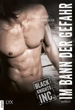 black knights inc. – im bann der gefahr book cover image