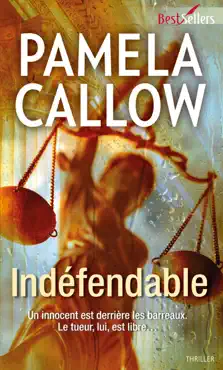 indéfendable book cover image