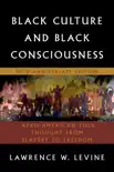 Black Culture and Black Consciousness synopsis, comments