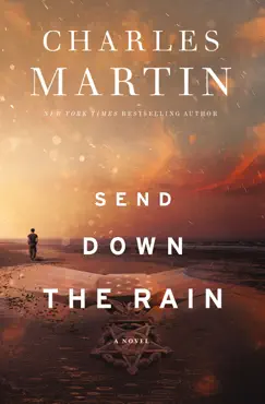 send down the rain book cover image