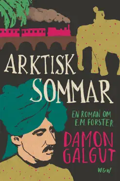 arktisk sommar book cover image