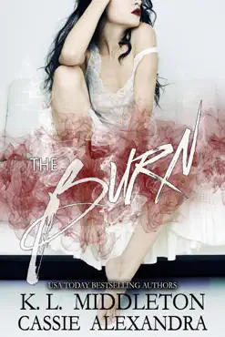 the burn book cover image