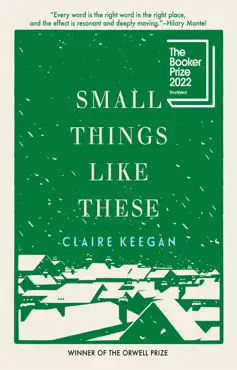 small things like these book cover image