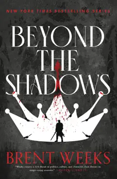 beyond the shadows book cover image