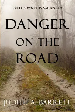 danger on the road book cover image