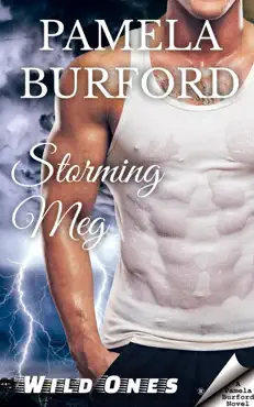 storming meg book cover image