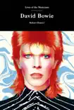 David Bowie synopsis, comments