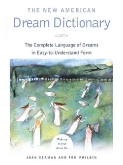 the new american dream dictionary book cover image