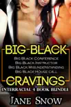 Big Black Cravings synopsis, comments