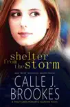 Shelter from the Storm synopsis, comments