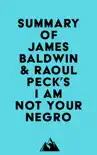 Summary of James Baldwin & Raoul Peck's I Am Not Your Negro sinopsis y comentarios