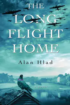 the long flight home book cover image