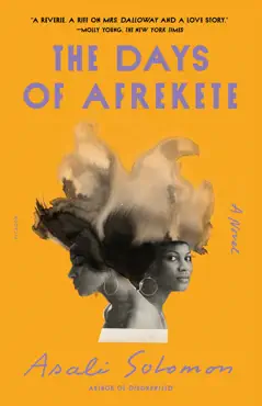 the days of afrekete book cover image