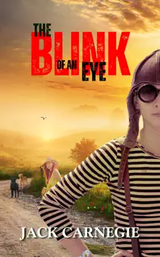 the blink of an eye book cover image