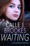 Waiting book summary, reviews and download
