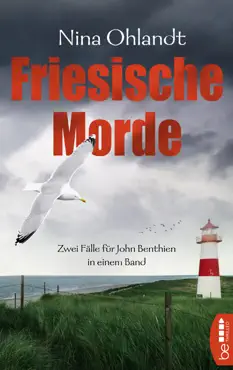 friesische morde book cover image
