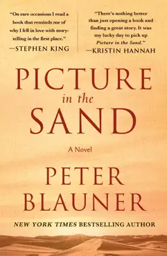 picture in the sand book cover image