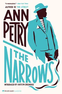 the narrows book cover image