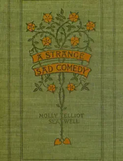 a strange, sad comedy. 1896 book cover image