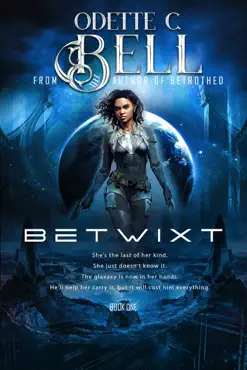 the betwixt book one book cover image