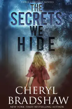 the secrets we hide book cover image