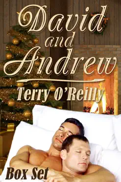 david and andrew box set book cover image