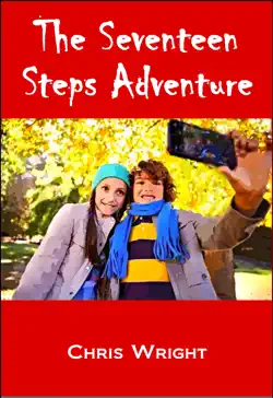 the seventeen steps adventure book cover image